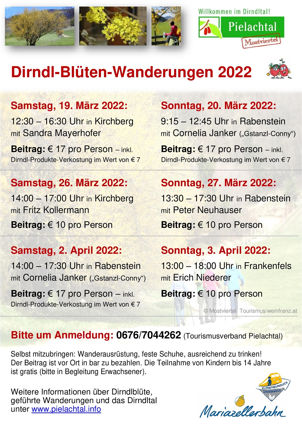 Dirndlblütenwanderungen2022 Inserat Gemeindezeitungen