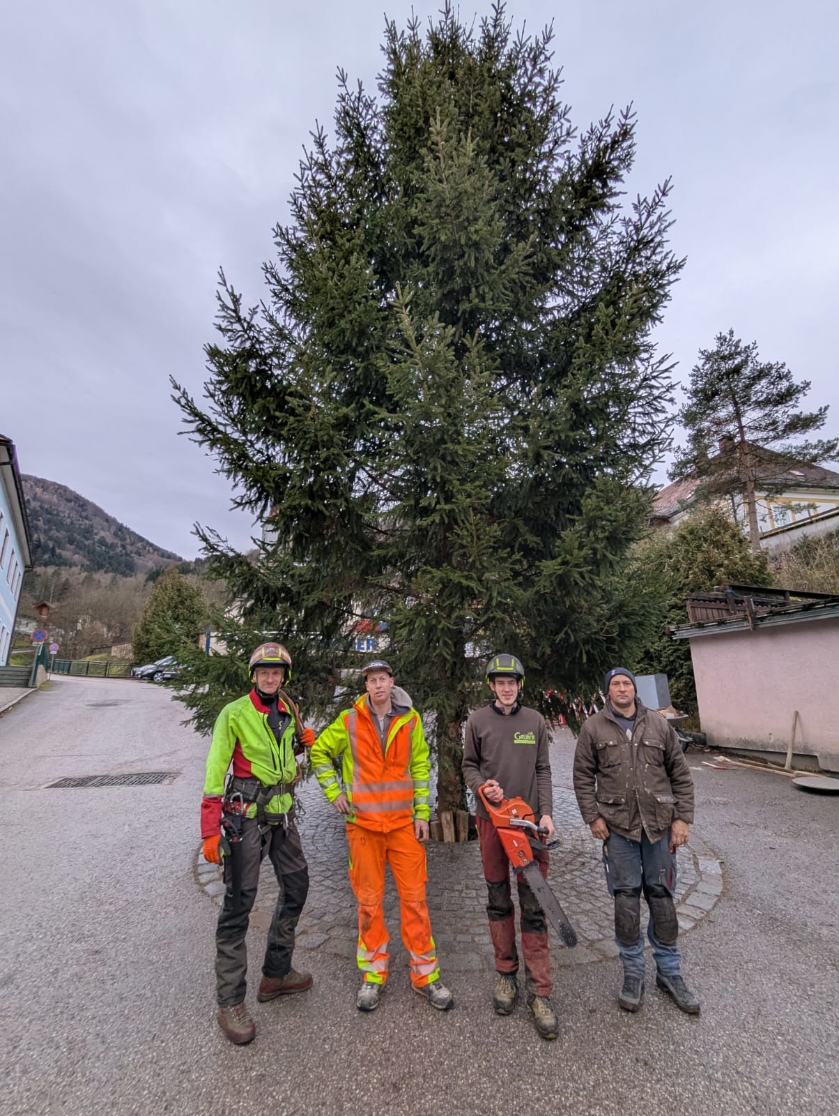 Christbaum Dorfplatz