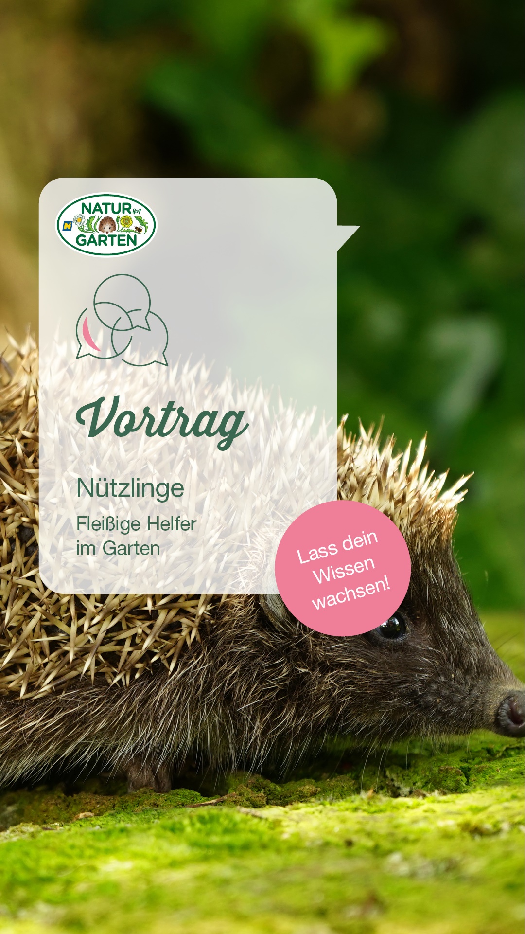 Vortrag Nützling f. Insta